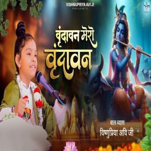 Vrindavan Pyaro Vrindavan (2024) Album Art
