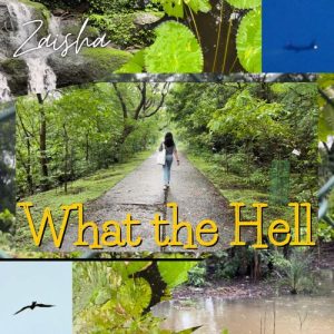 What The Hell (2023) Album Art