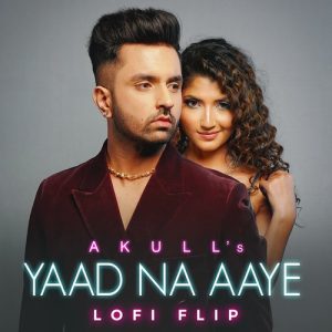 Yaad Na Aaye (Lofi Flip) (2023) Album Art