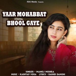 Yaar Mohabbat Bhool Gaye (2025) Album Art