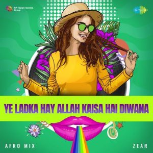 Ye Ladka Hay Allah Kaisa Hai Diwana – Afro Mix