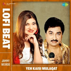 Yeh Kaisi Mulaqat Lofi Beat (2024) Album Art