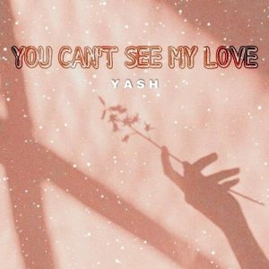 You Can’t See My Love
