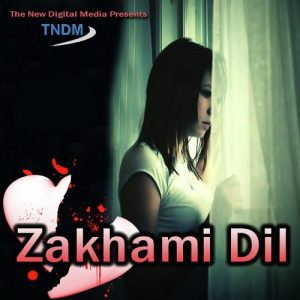 Zakhmi Dil (2015) Album Art