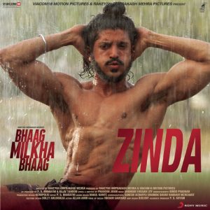 Zinda (2013) Album Art