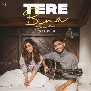 tere bina (Acoustic / Lofi Flip) (2024) Album Art