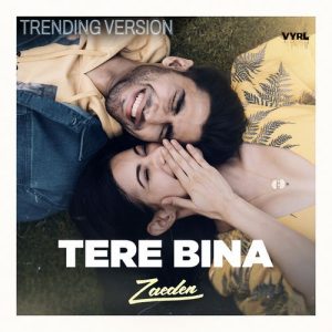tere bina (Trending Version) (2025) Album Art