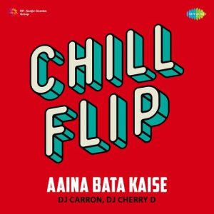 Aaina Bata Kaise – Chill Flip (2024) Album Art