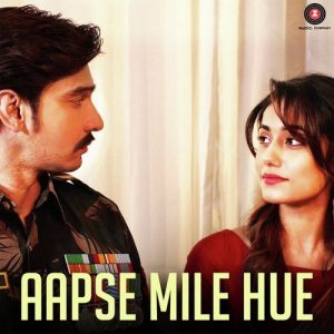 Aapse Mile Hue (2017) Album Art