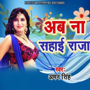 Ab Na Sahaai Raja Album Art