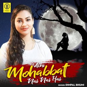 Abhi Muhabbat Nai Nai Hai Album Art