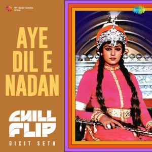 Ae Dil E Nadan Chill Flip Album Art