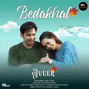 Aveer – A Musical Love Saga Album Art