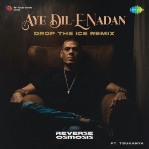 Aye Dil-E-Nadan – drop The Ice Remix Album Art