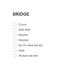 BRIDGE