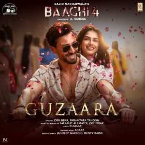 Baaghi 4