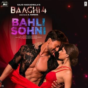 Baaghi 4