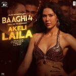Baaghi 4