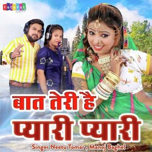 Baat Teri Hai Pyari Pyari Album Art