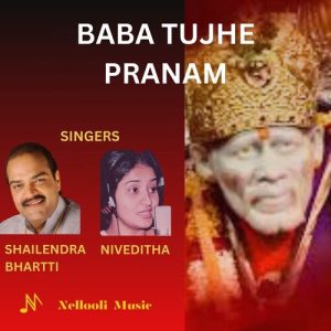 Baba Tujhe Pranam Album Art