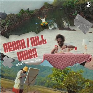 Beach/Hill Vibes Album Art