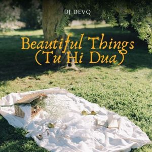 Beautiful Things 2 (Tu Hi Dua) (Speed Up & Reverb)