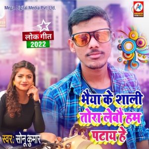 Bhaiya Ke Shali Tora Lebo Hum Patay He Album Art