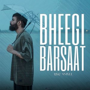 Bheegi Barsaat Album Art