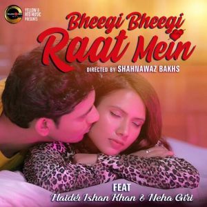 Bheegi Bheegi Raat Mein Album Art