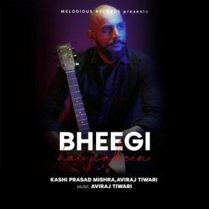 Bheegi Hai Palkein Album Art