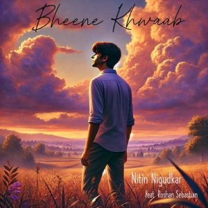 Bheene Khwaab Album Art