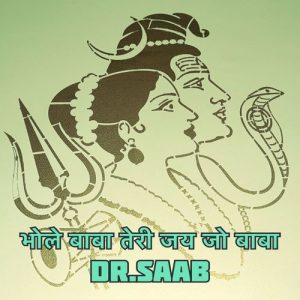 Bhole Baba Teri Jai Ho Baba Album Art