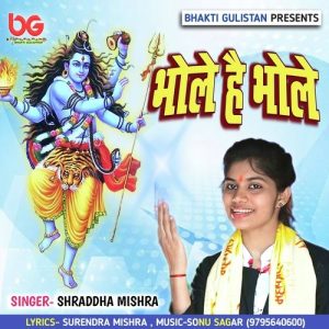 Bhole Hain Bhole Album Art