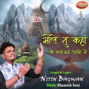 Bhole Tu Kaha Kho Gaya In Pahado Mai Album Art