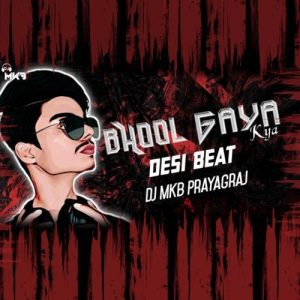 Bhool Gaya Kya (Desi Beat) Album Art