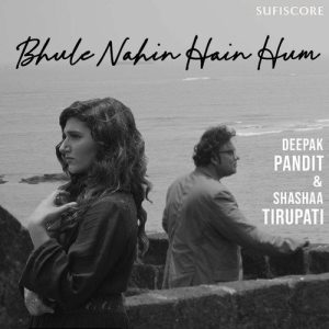 Bhule Nahin Hain Hum Album Art