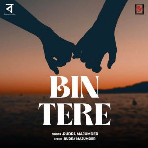 Bin Tere Album Art