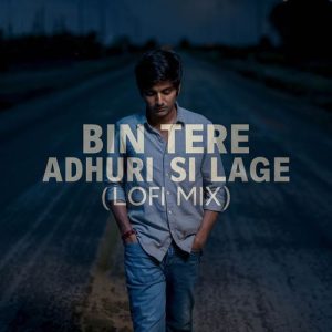 Bin Tere Adhuri Si Lage (LoFi Mix) Album Art