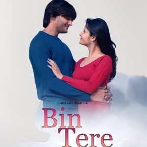Bin Tere (feat. Sunil Hudla, Harshita Kanwar) Album Art