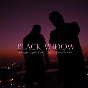 Black Widow Album Art