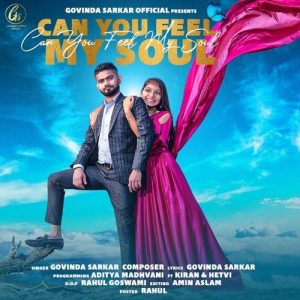 Can You Feel My Soul Album Art