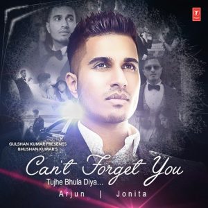 Can’t Forget You (Tujhe Bhula Diya)