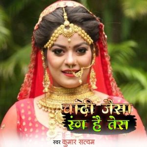 Chandi Jaisa Rang Hai Tera