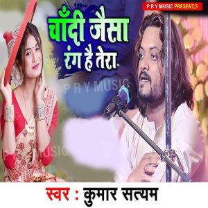 Chandi Jaisa Rang Hai Tera Album Art