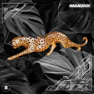 Cheetah Album Art