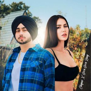 Cheques X Gora Gora Rang Album Art