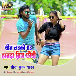 Chij Lauko Hau Hawada Brij Chhaudi Album Art