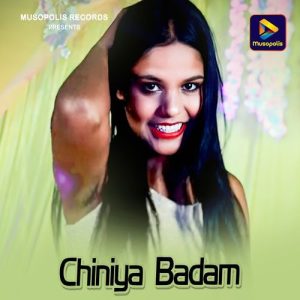 Chiniya Badam Album Art