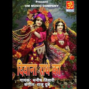 Deewana Radhe Ka Album Art