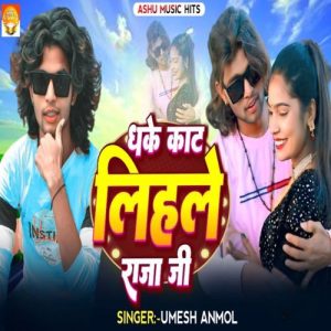 Dhake Kaat Lihale Raja Ji Album Art